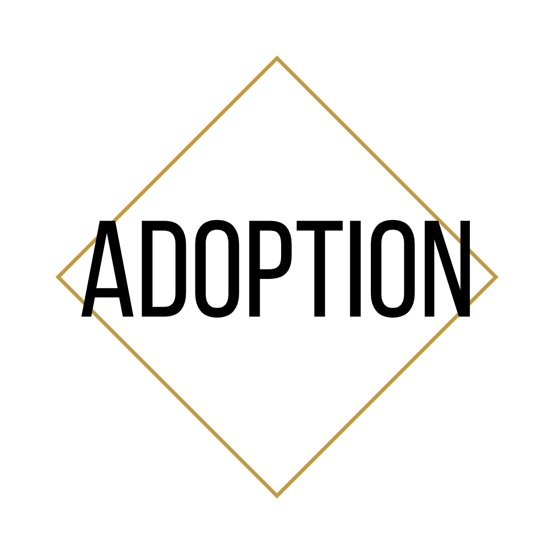 20 Adoption Law